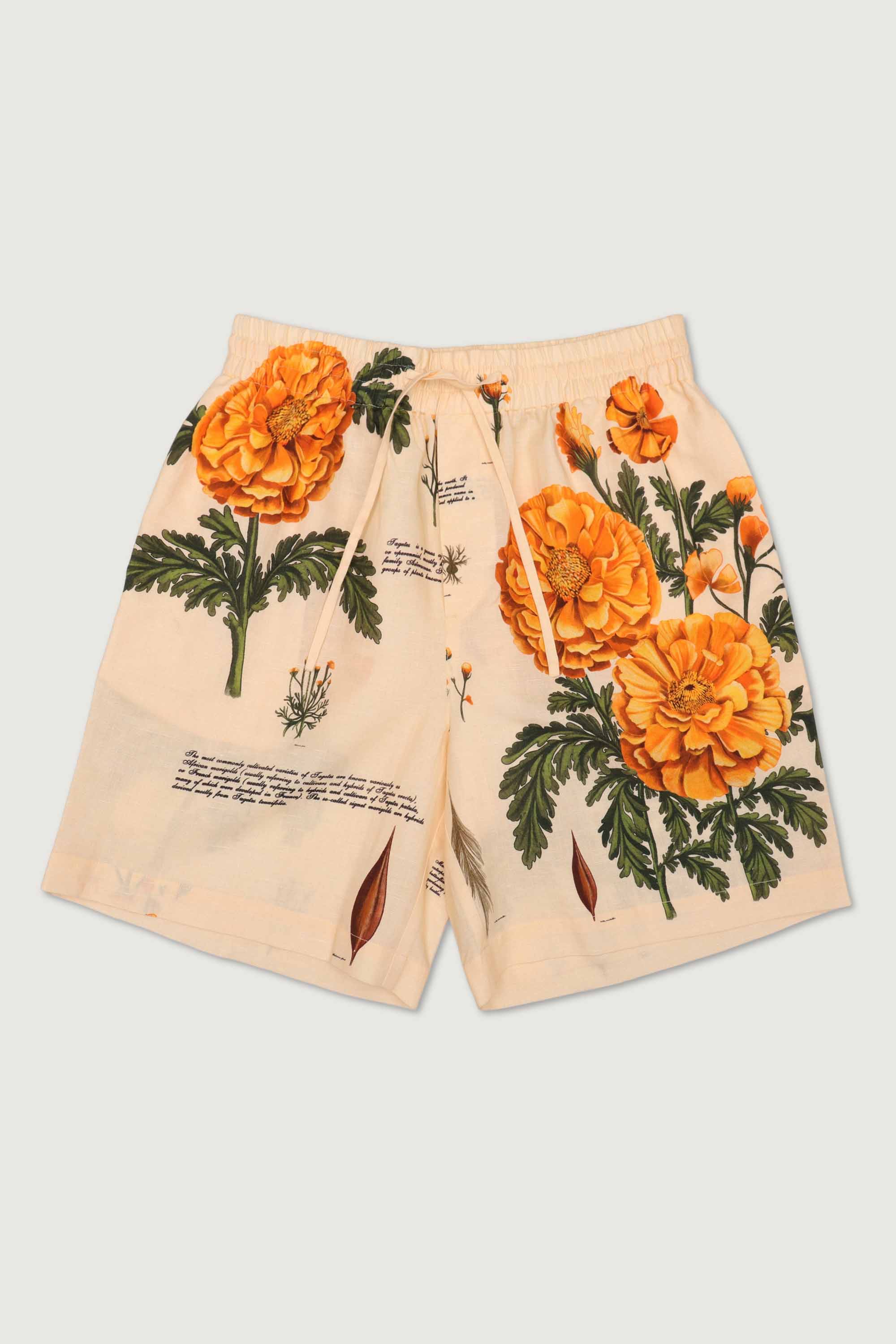 "Notes on marigold " shorts