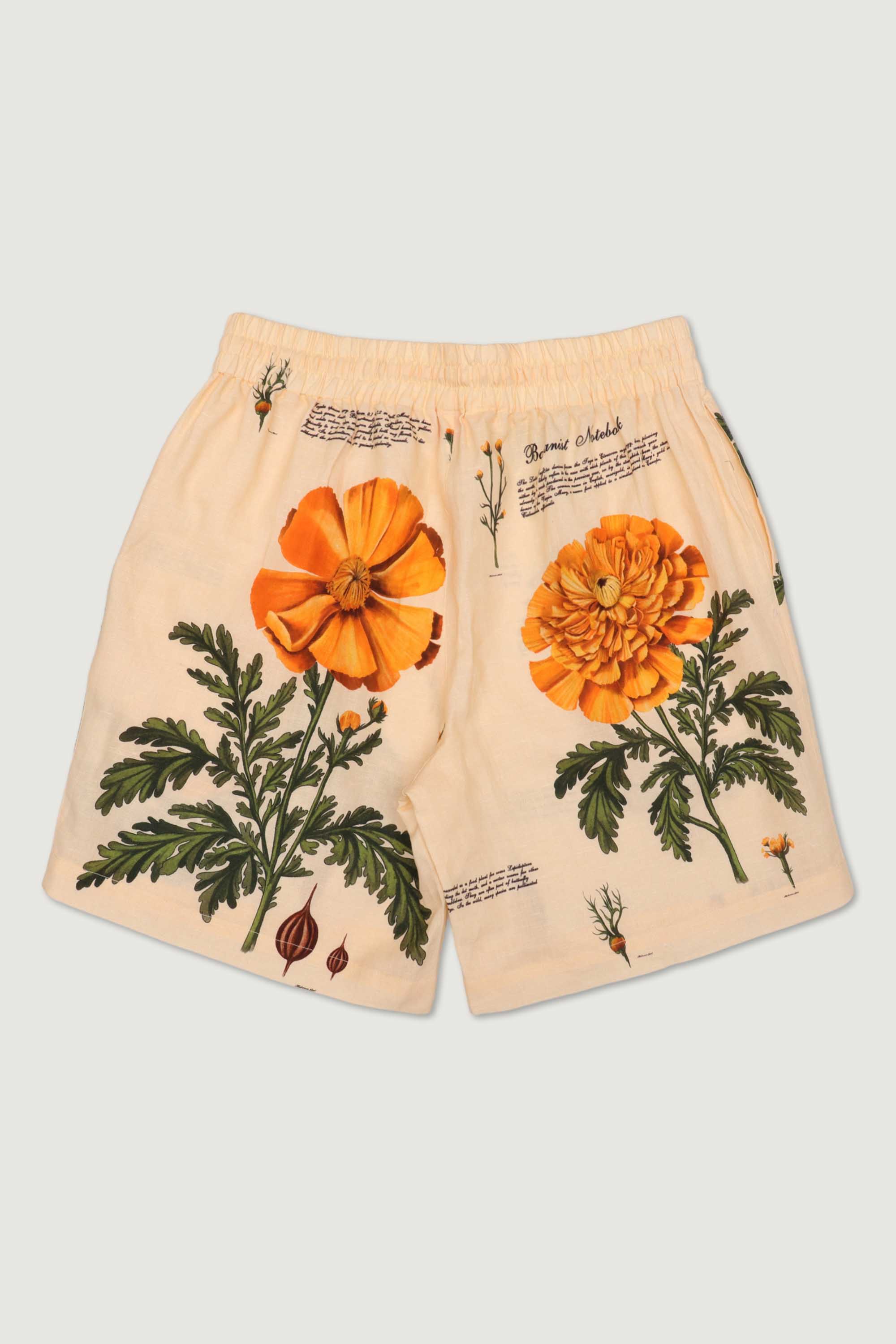 "Notes on marigold " shorts