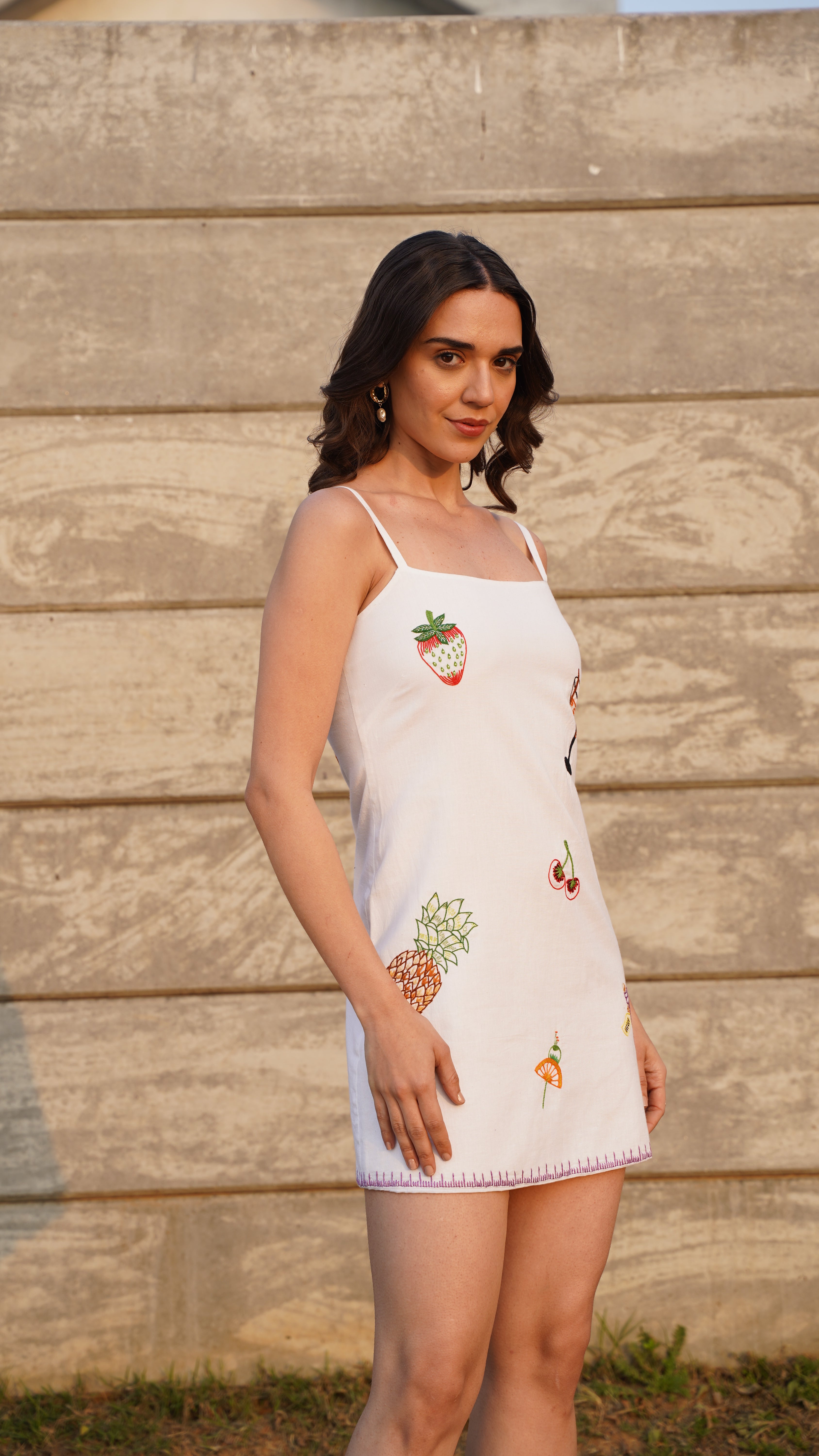 "Le Martini" hand embroidered dress