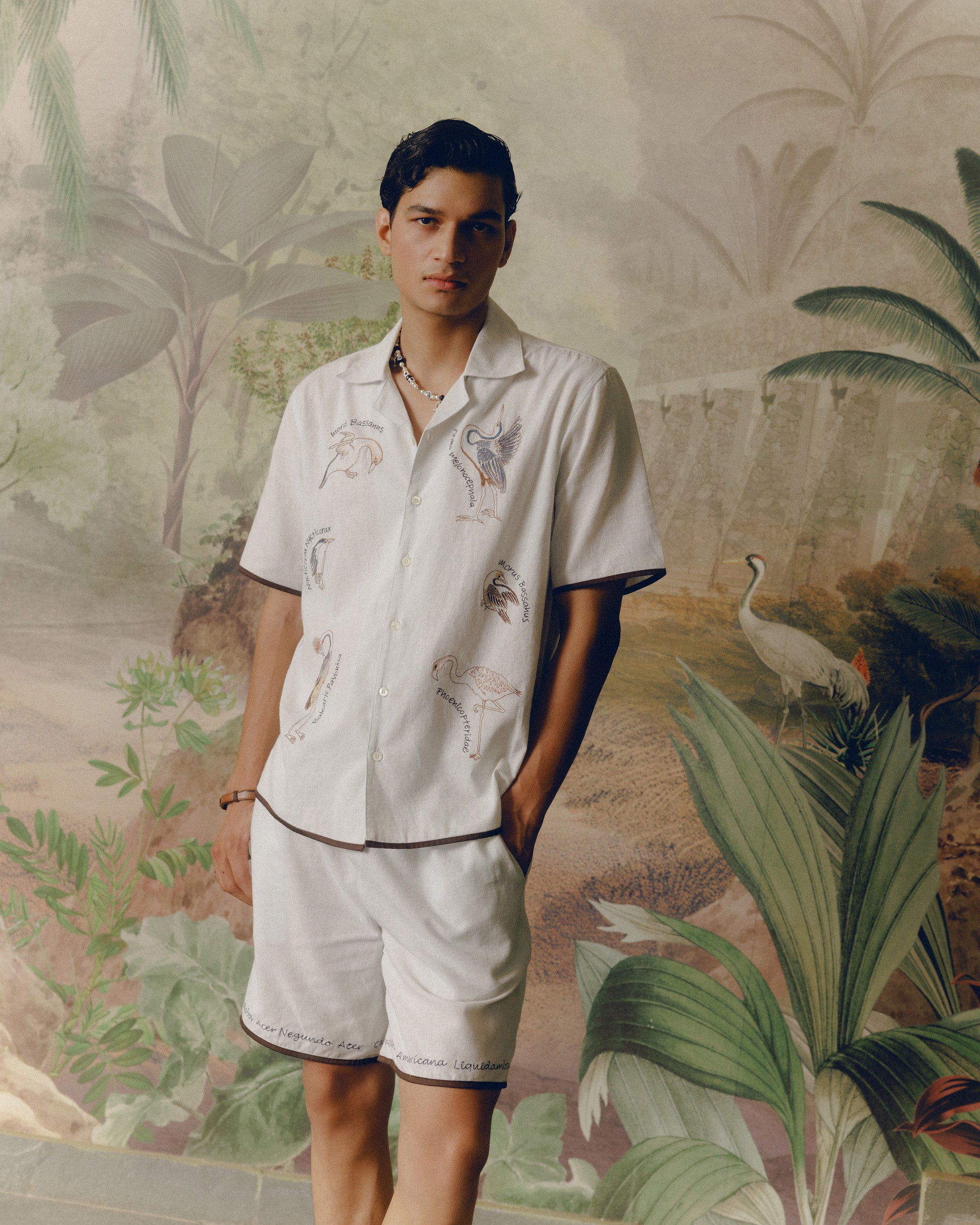 "Bird Journal" embroidered shirt
