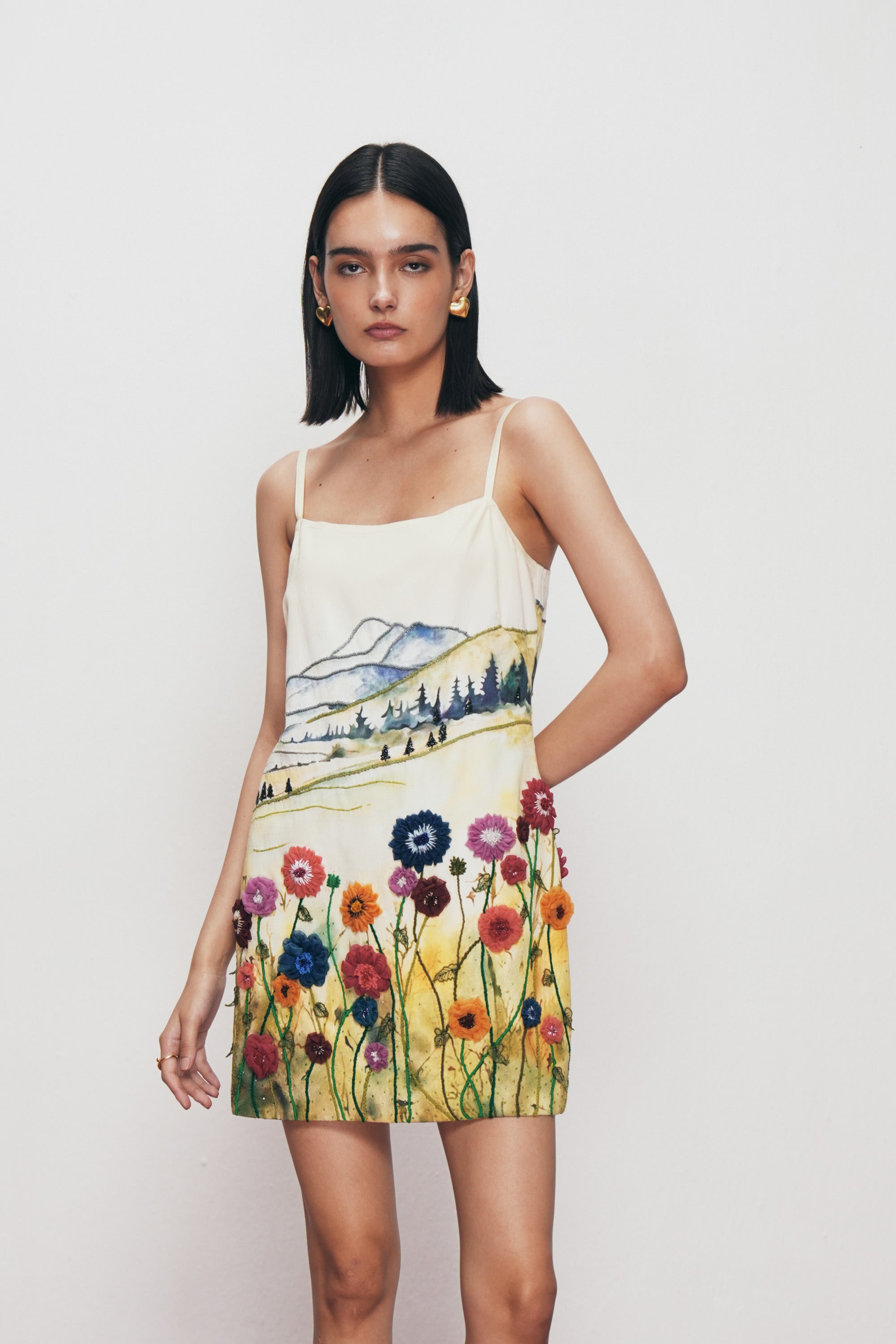 Countryside hand embroidered dress