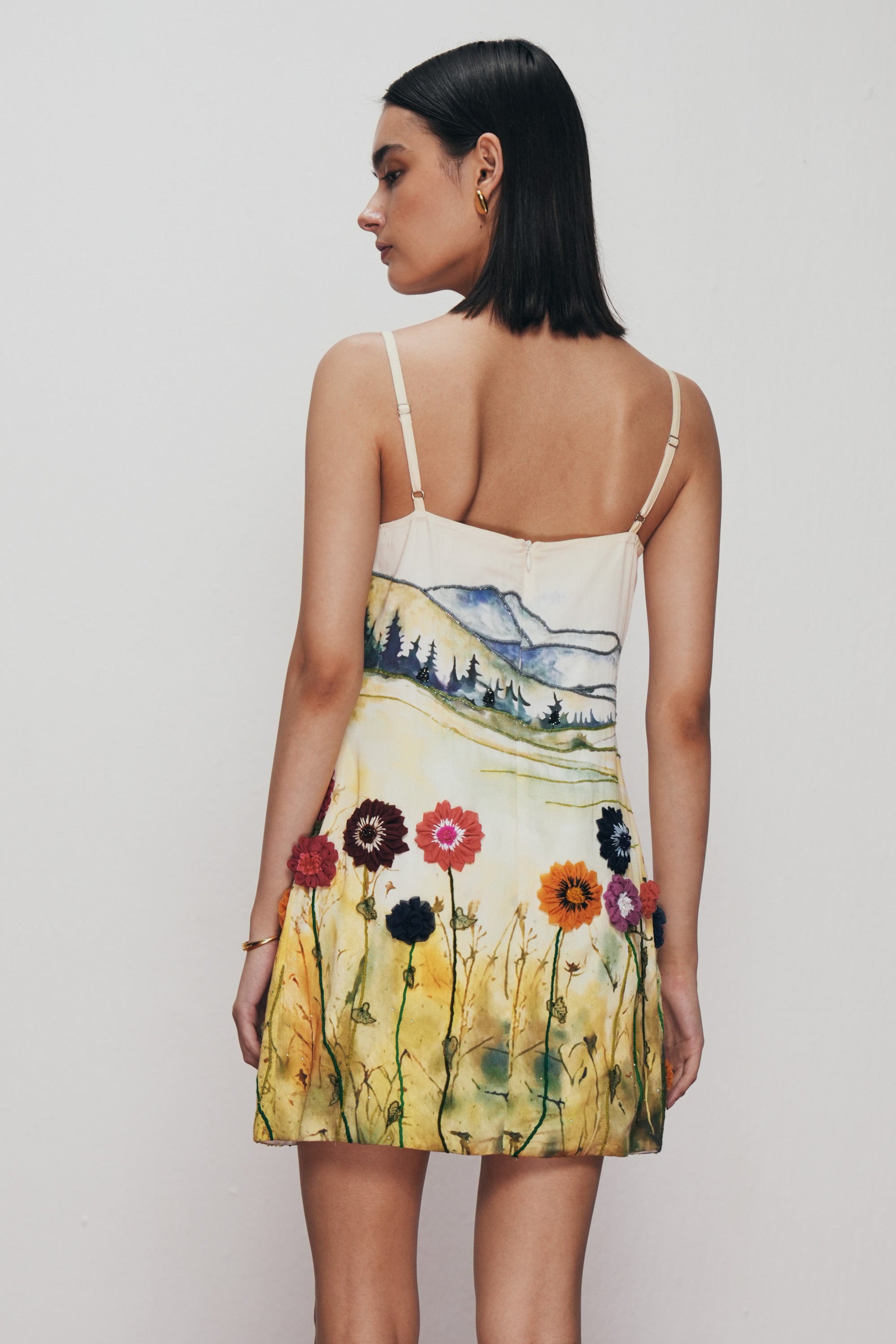 Countryside hand embroidered dress